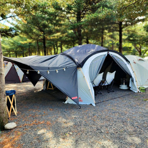 코보쉘터, 에르젠 익타 일괄