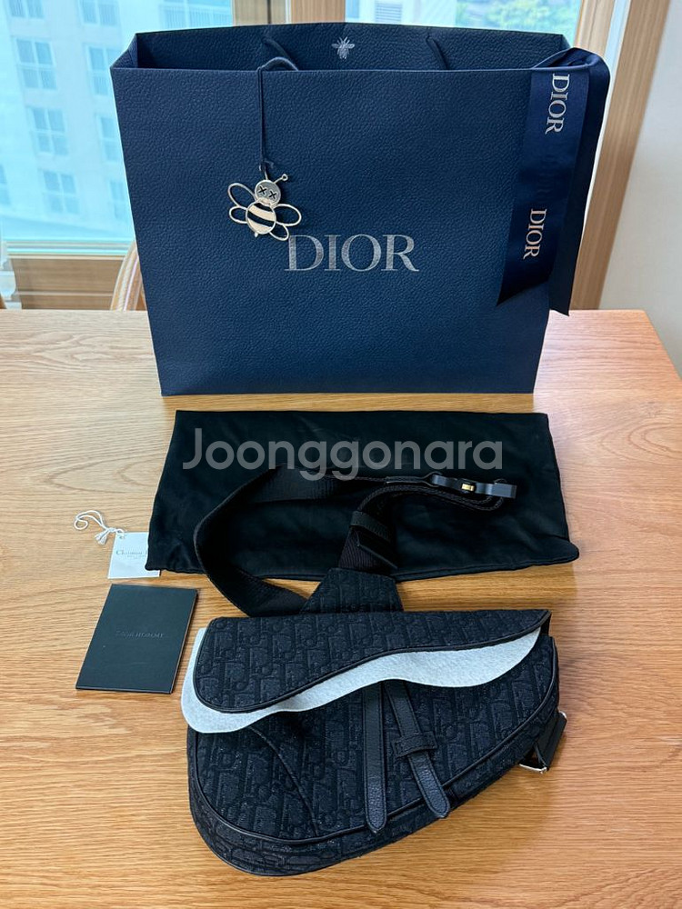 디올 옴므 새들백--1