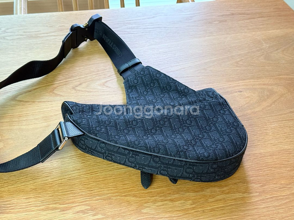 디올 옴므 새들백--3