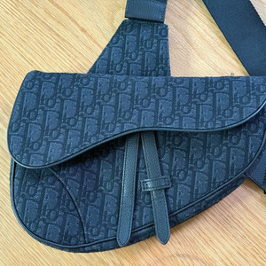 디올 옴므 새들백