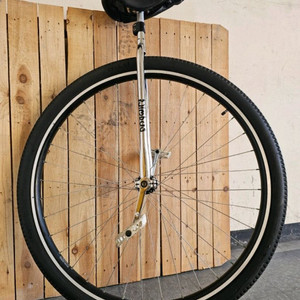 외발자전거 님버스36인치