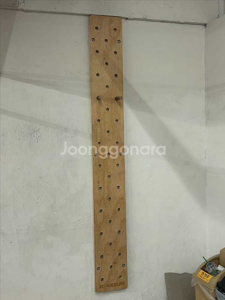 크로스핏 패그보드--0