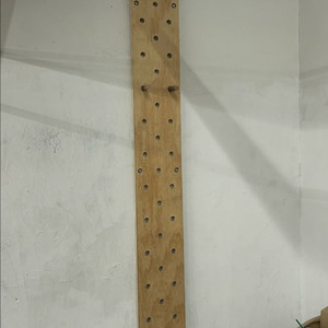 크로스핏 패그보드