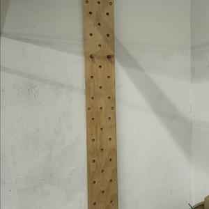 크로스핏 패그보드