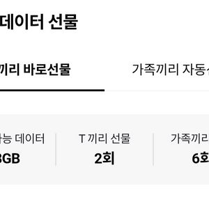 SK 데이터 1기가