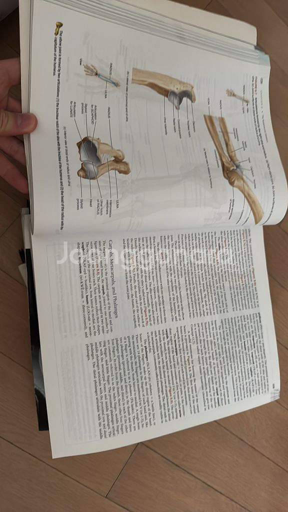 Anatomy and Physiology Jenkins--1