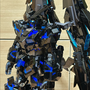 PG 건담 페넥스 마스터마인드 코팅, 도색 완성작