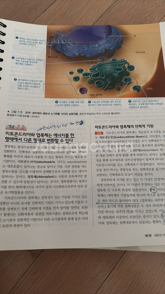 캠벨 생명과학 10판--1