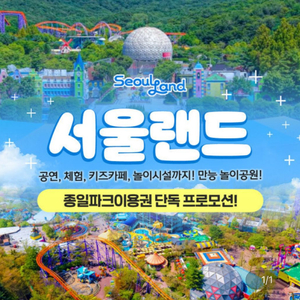 서울랜드 자유이용권 종일권 4매 장당 21500