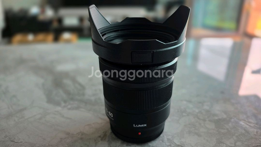 루믹스 s5m2 + 20-60mm 렌즈 + 틸타케이지--6