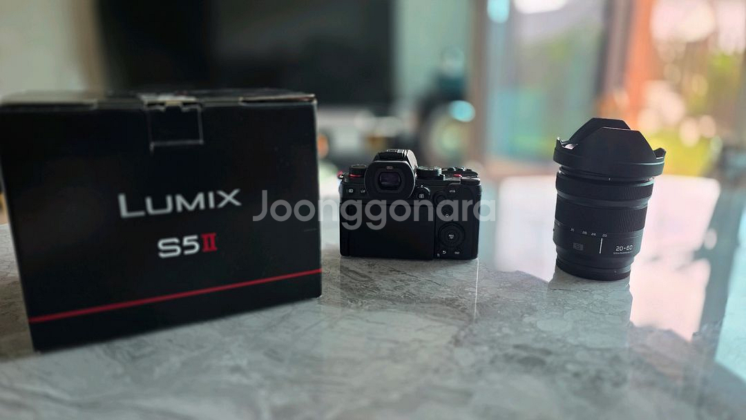 루믹스 s5m2 + 20-60mm 렌즈 + 틸타케이지--9