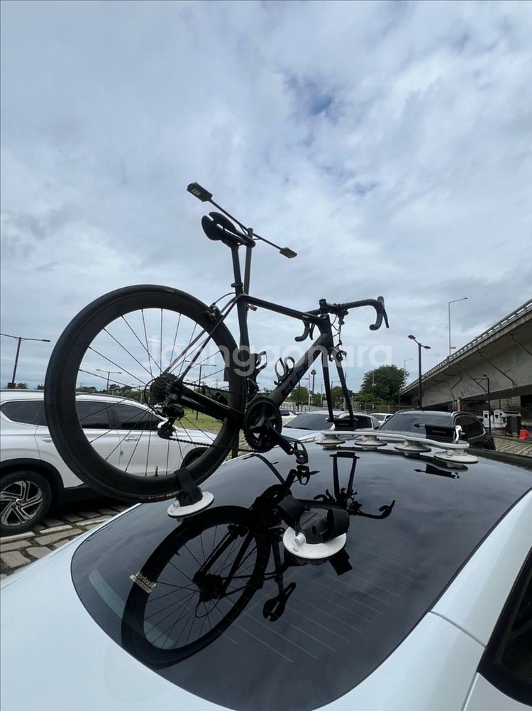 씨써커 씨서커 SeaSucker 미니바머 자전거 캐리어--4