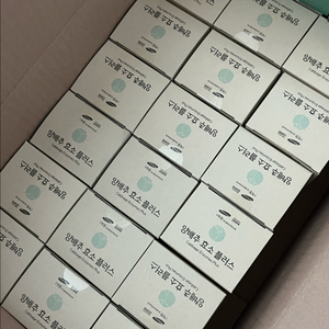 남유네 양배추효소