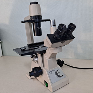 OLYMPUS CK2 올림푸스 현미경 110V