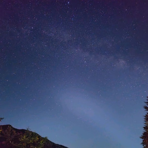 RTX3080TI 구합니다