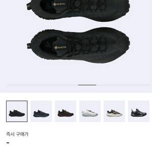 나이키 ACG 마운틴 플라이 2 로우 고어텍스