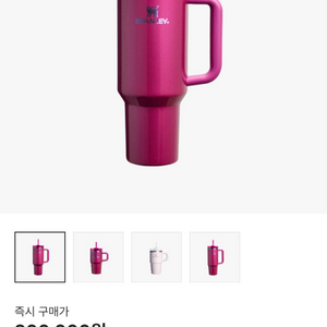 스탠리 더 밸런타인데이 텀블러 1.18L