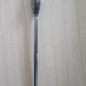 벨렘나이트환 바트대