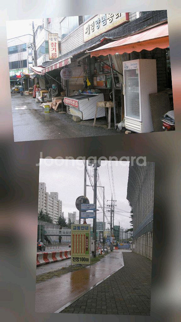 올림푸스 카메디아 C-310 디지털카메라--8