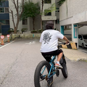 BNQ MTB 접이식 팻자전거 26인치 30단 판매합니