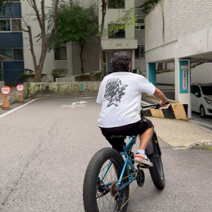 BNQ MTB 접이식 팻자전거 26인치 30단 판매합니