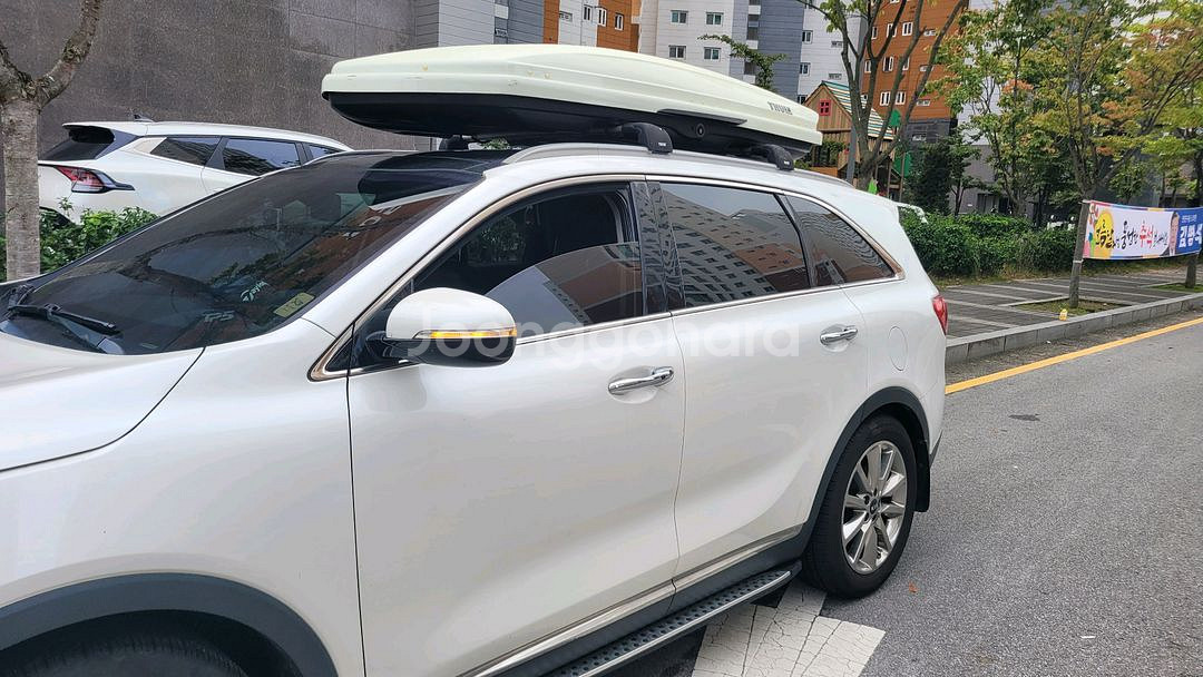 툴레 가로바 및 루프캐리어--0