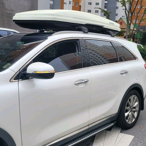 툴레 가로바 및 루프캐리어