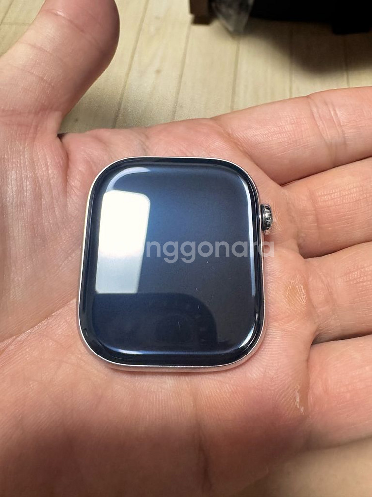 애플워치 10 에르메스 (애케플 포함)--0