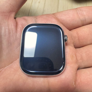 애플워치 10 에르메스 (애케플 포함)