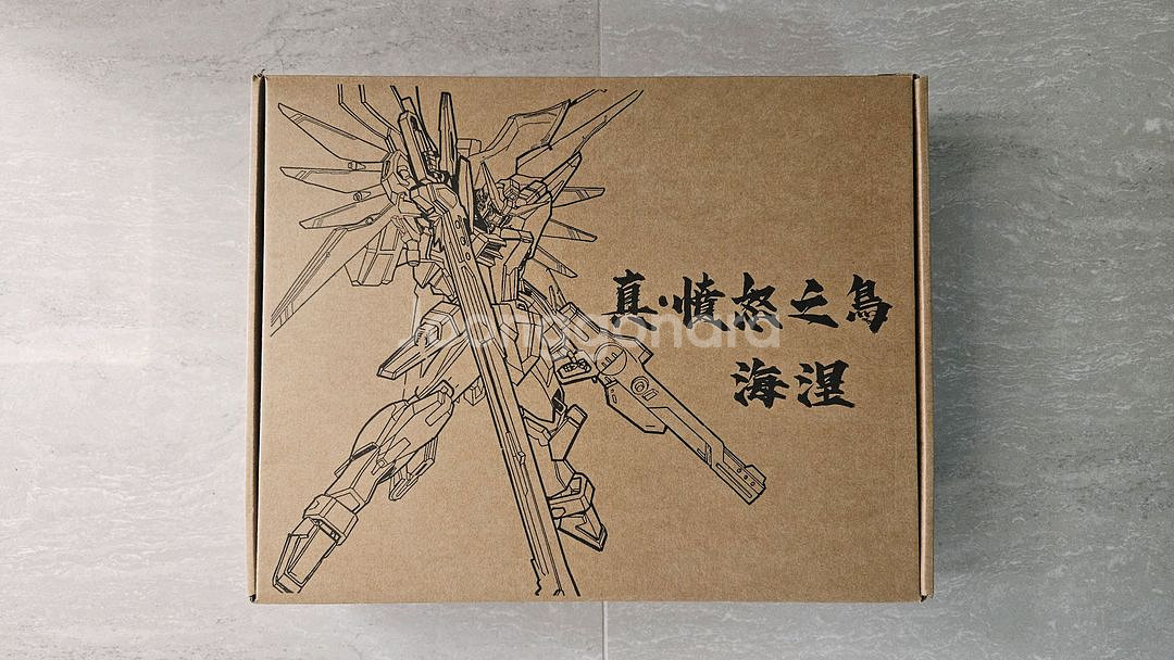 진분노지조 1/144 데스티니 하이네 건담+강화팩 일괄--1