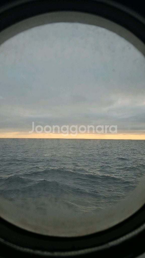 포르자 호라이즌2 구해요--0