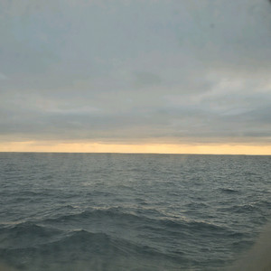 포르자 호라이즌2 구해요