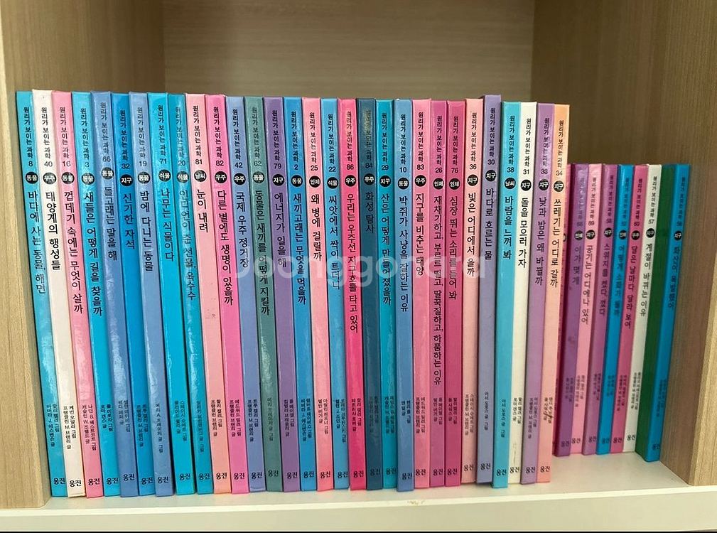 웅진 원리가 보이는 과학 89권.--0