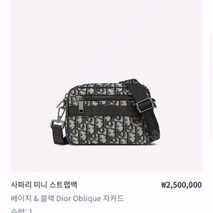 디올 가방 메신저백 오블리크 스트랩 지퍼