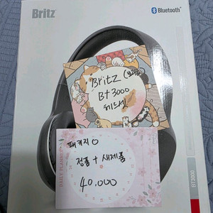 Britz 브리츠 Bt3000 헤드셋