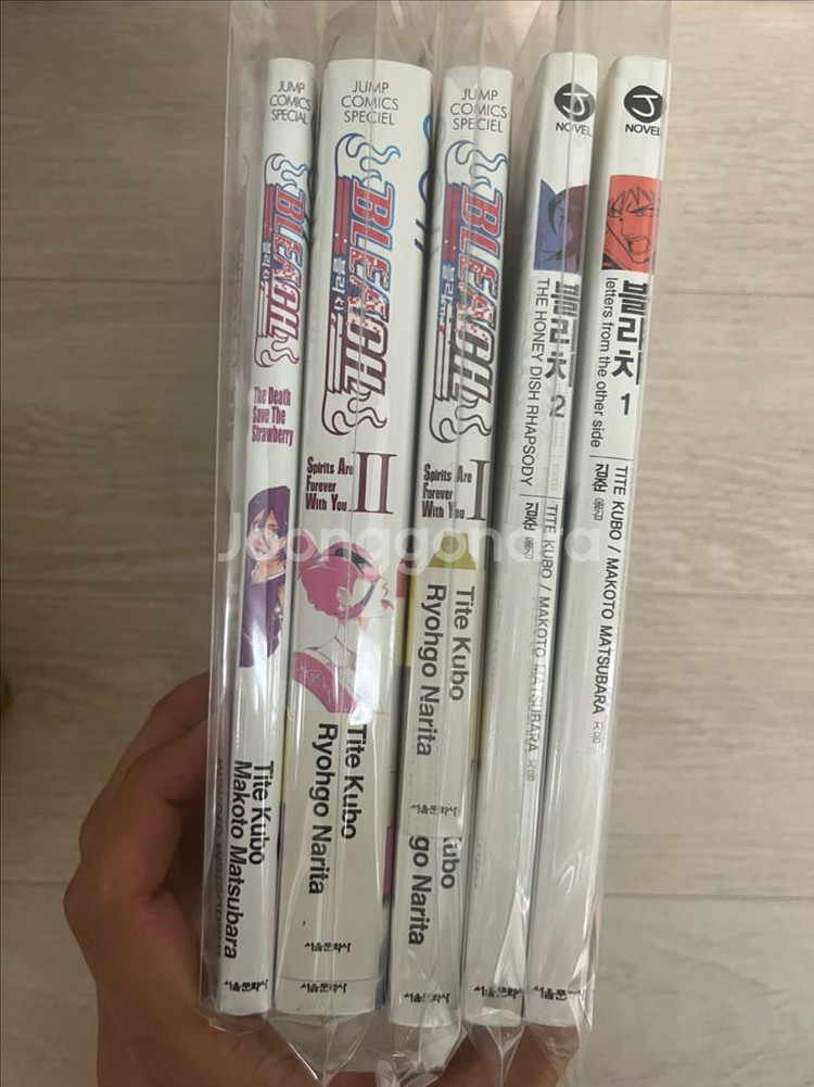 블리치 소설, 노블--0