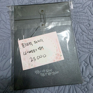 전독시 문스트럭 앨범 패키지