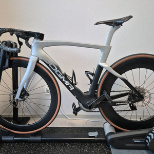 피나렐로 도그마 플루토늄f8 몰드 로드 자전거