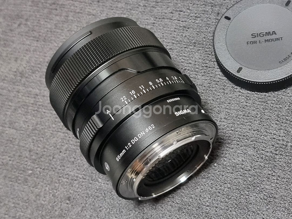 시그마 65mm F2 DG DN 렌즈 L마운트--1