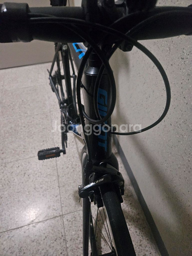 [마지막가격]자이언트 TCR 어드밴스2 COM SE 카본 (105--3