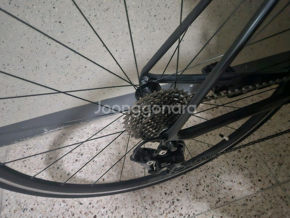 [마지막가격]자이언트 TCR 어드밴스2 COM SE 카본 (105--6