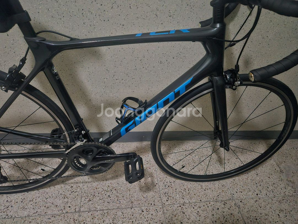 [마지막가격]자이언트 TCR 어드밴스2 COM SE 카본 (105--5