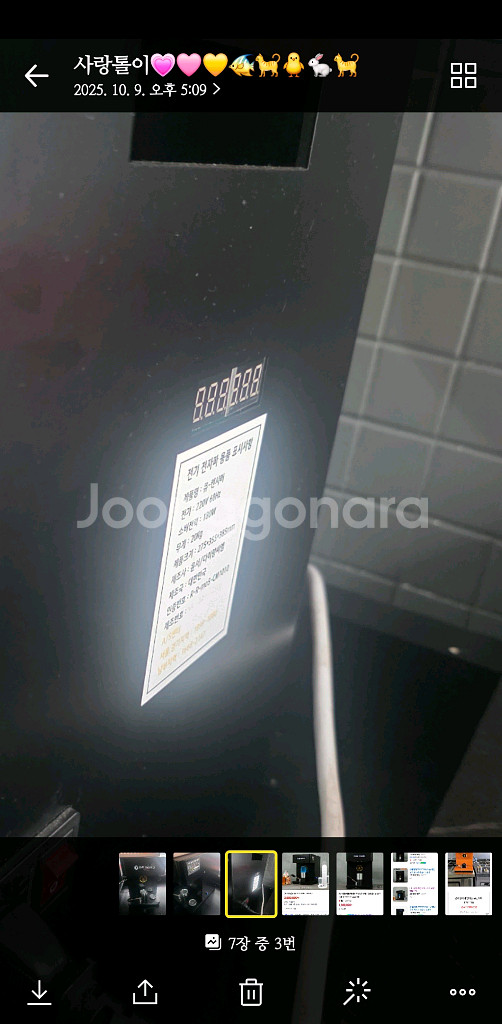 캔시머--1