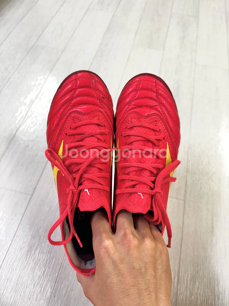 미즈노 모렐리아 네오4 베타 엘리트 MD 240--0