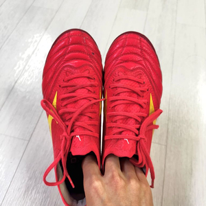 미즈노 모렐리아 네오4 베타 엘리트 MD 240