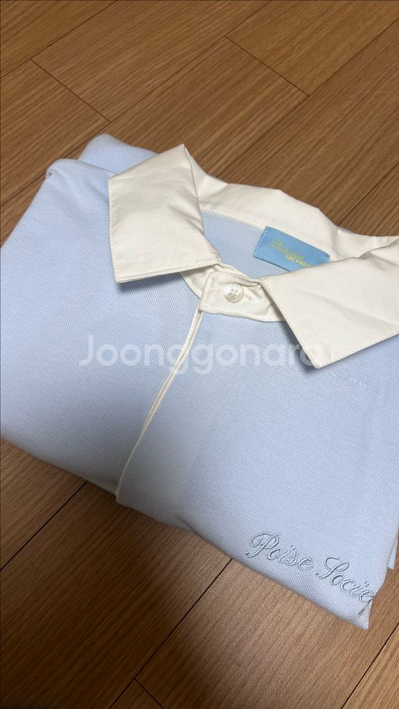 리본빛 피케 티--2