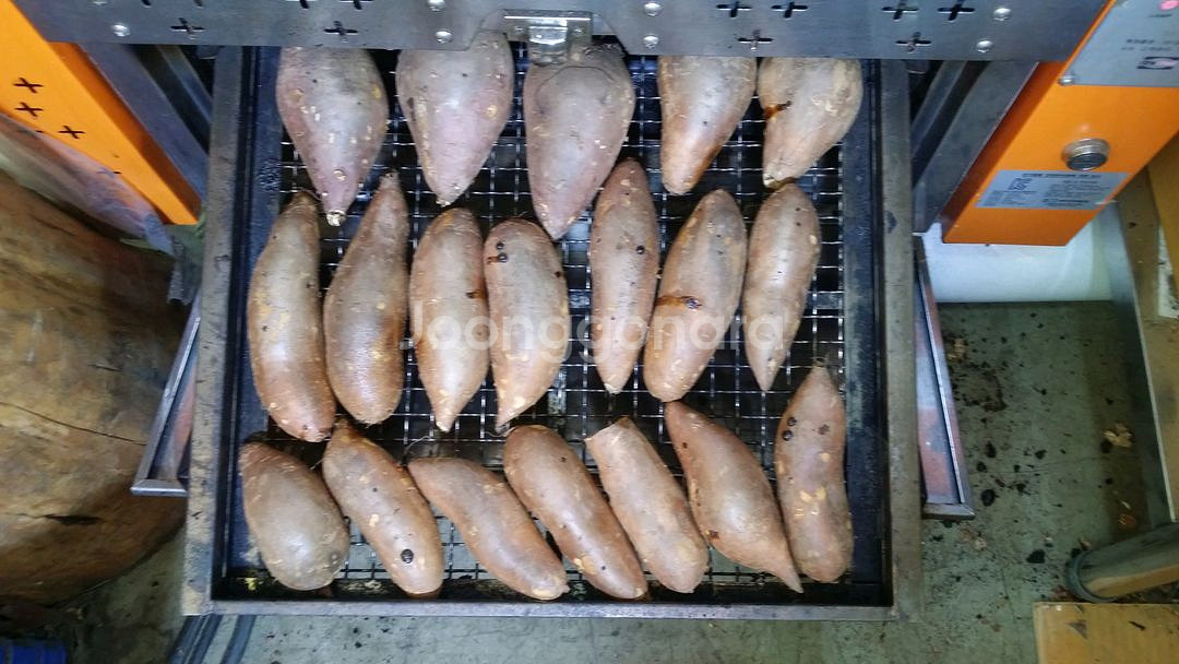 군고구마기계/2단/전기/업소용--7