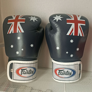 페어텍스 BGV1 리미티드에디션 10온스 복싱글러브