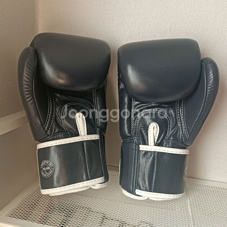 페어텍스 BGV1 리미티드에디션 10온스 복싱글러브--1