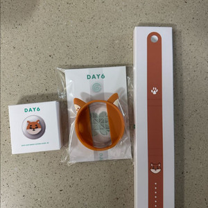 데이식스 데니멀즈 워치 커스텀